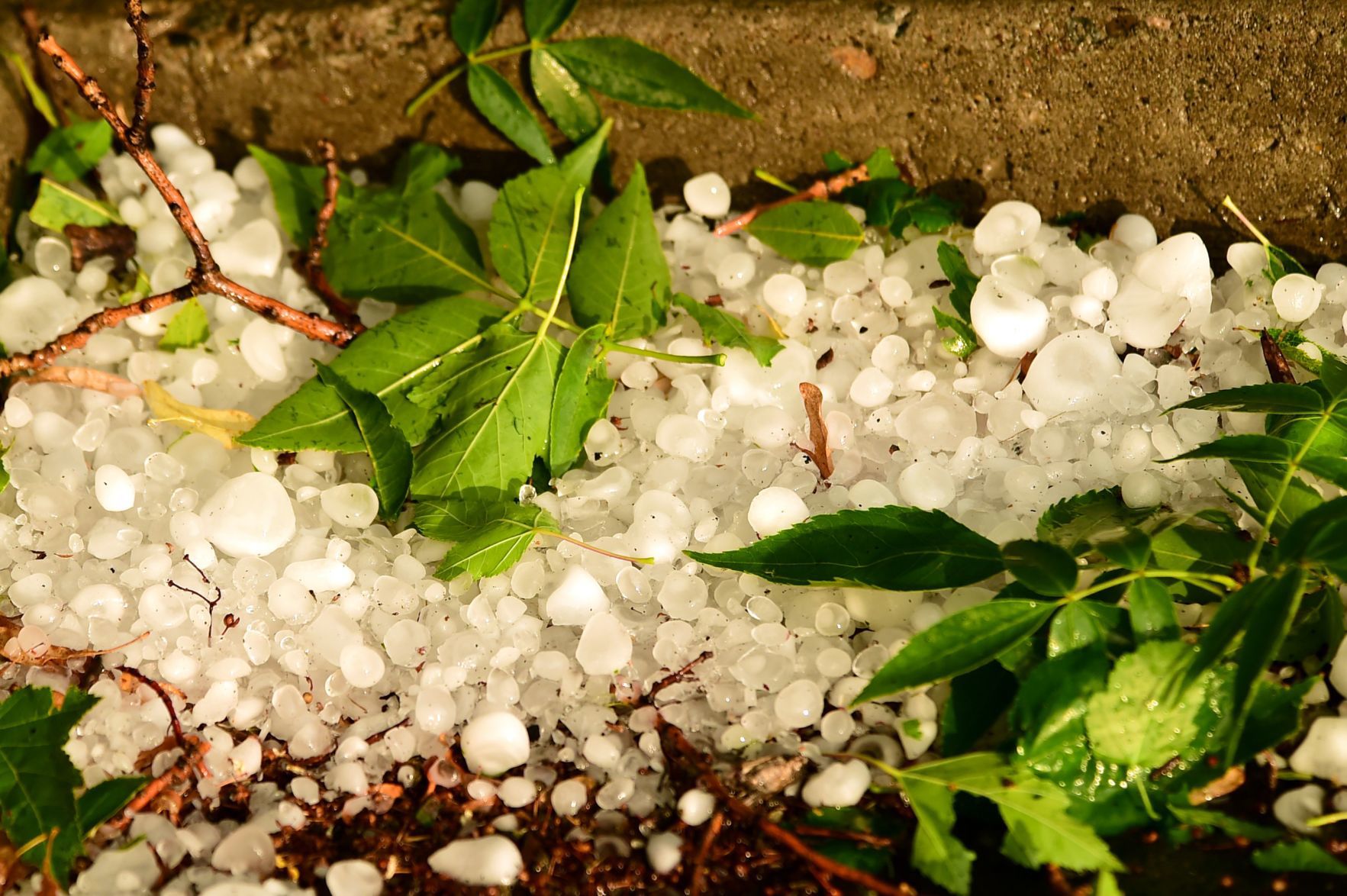 Thunderstorm damage